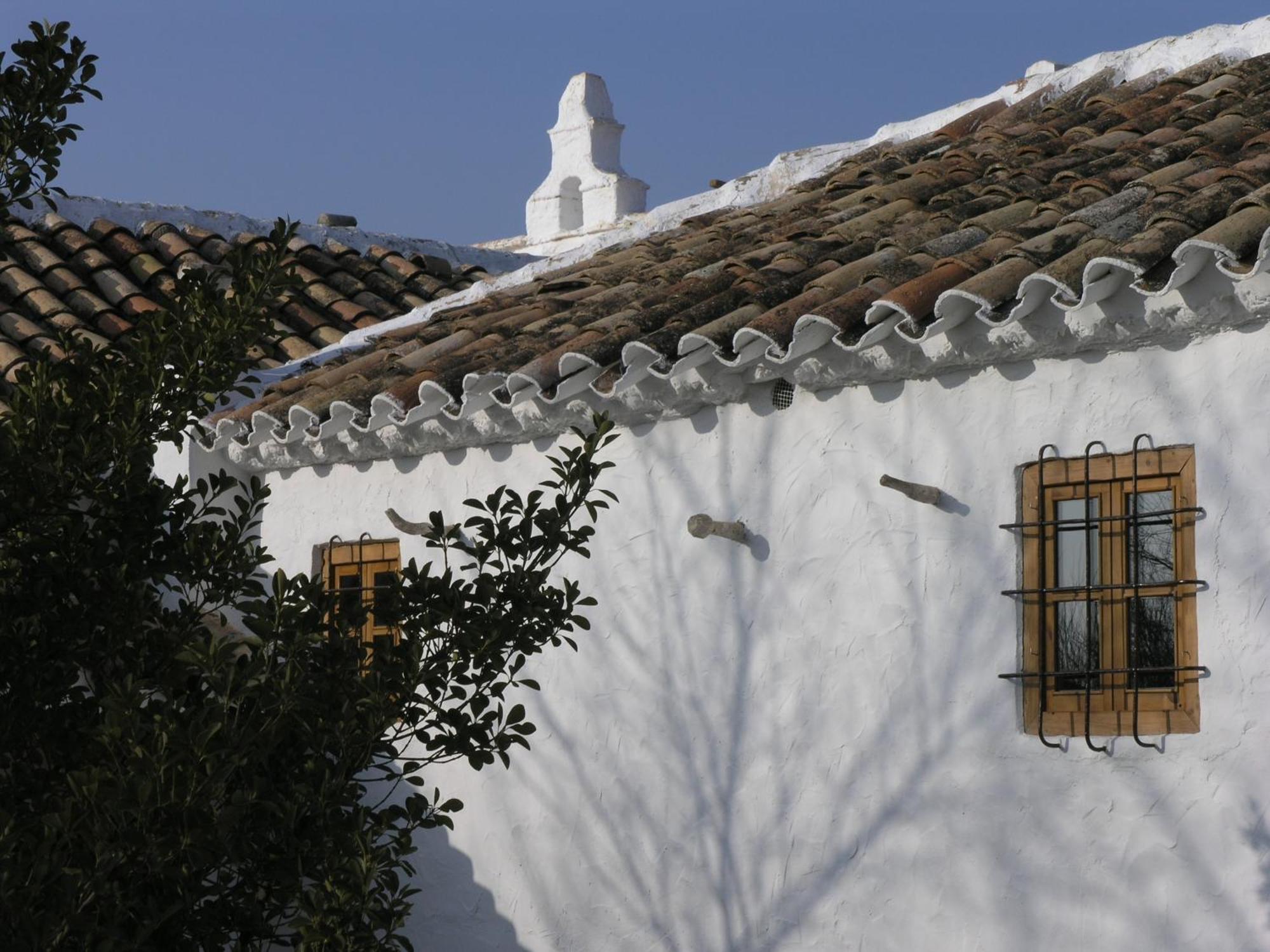 Casa Rural La Alameda Madridejos Εξωτερικό φωτογραφία