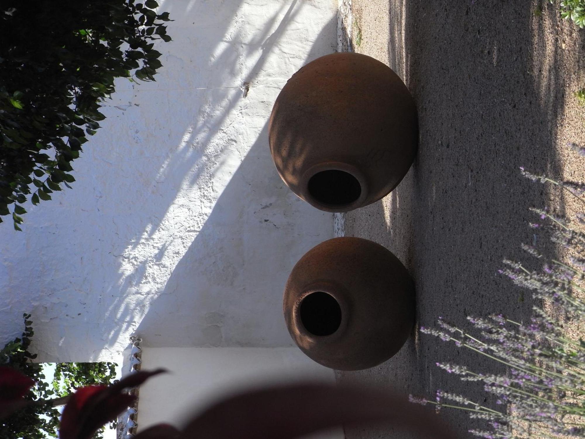 Casa Rural La Alameda Madridejos Εξωτερικό φωτογραφία